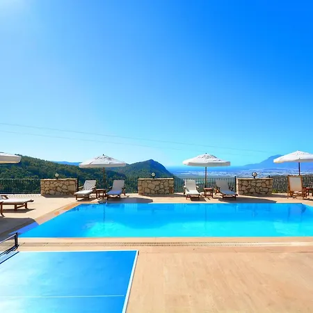 Feyza Kalkan